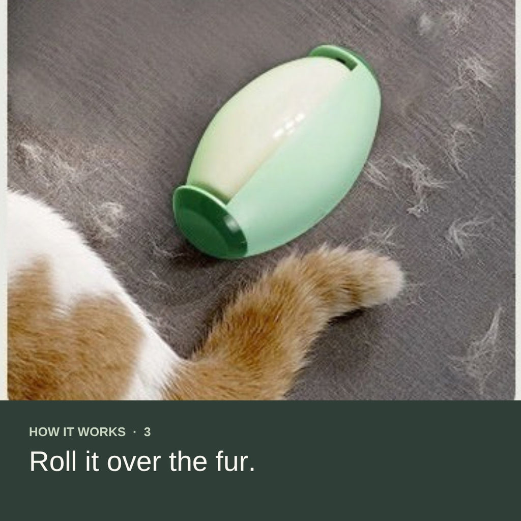 Rolling the Rinse Roller over pet hair on a rug